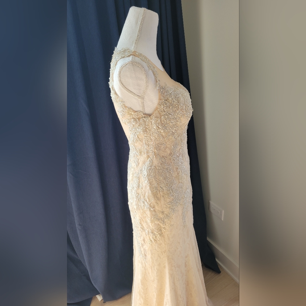 DAVIDS BRIDAL | Champagne Lace Beaded Dress - Picture 7 of 16